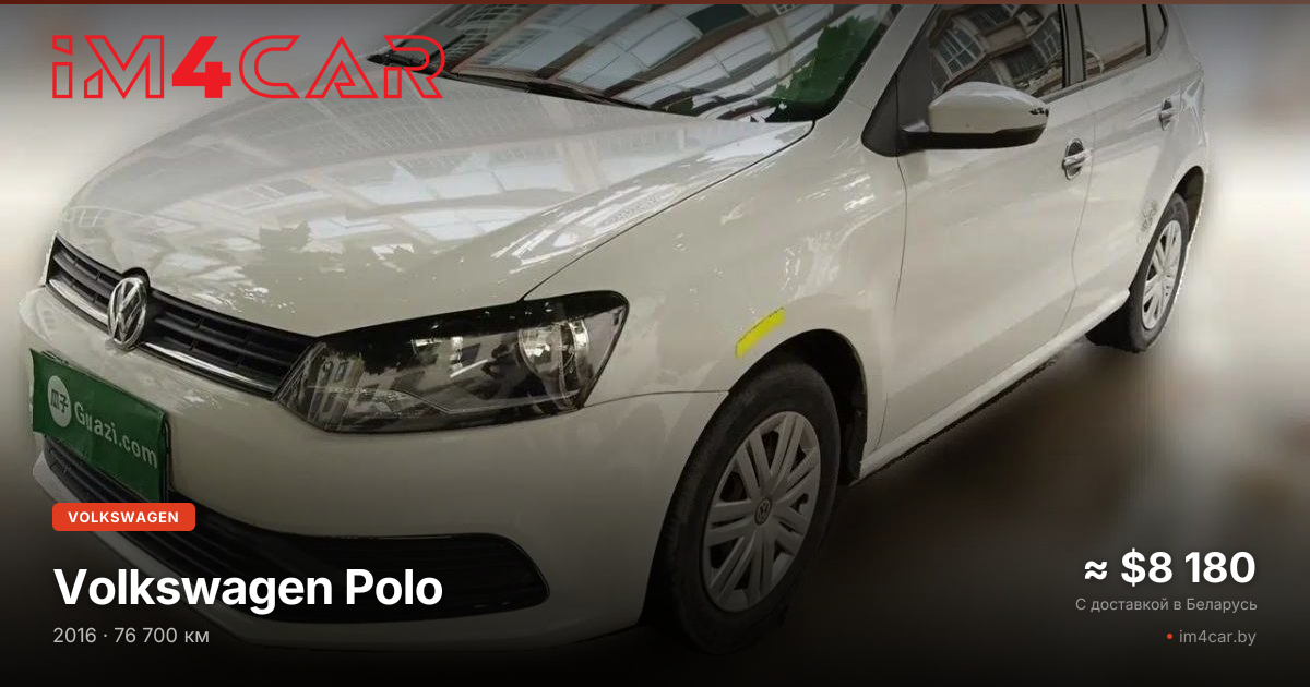  Polo